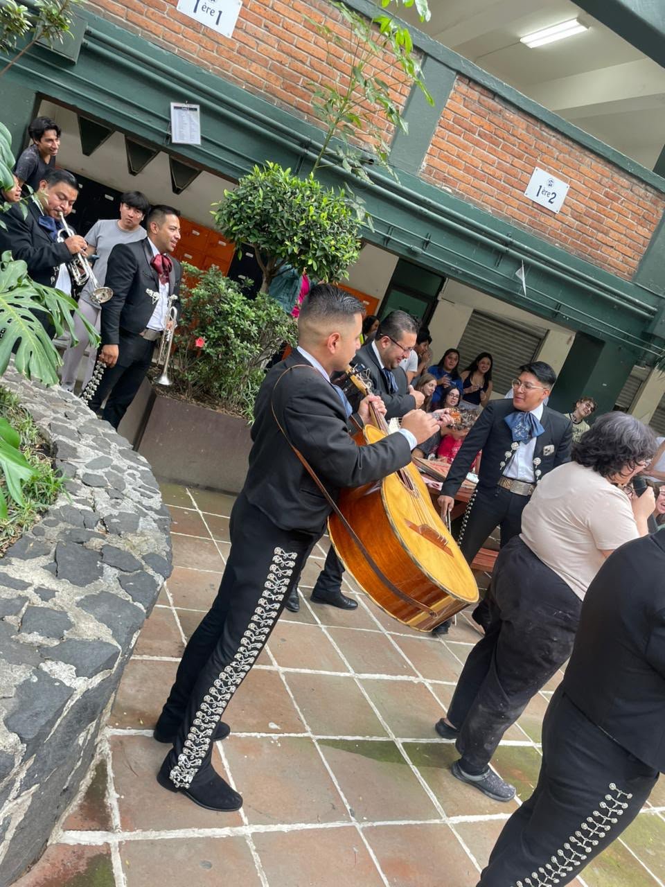 Serenata a domicilio en CDMX y Estado de México